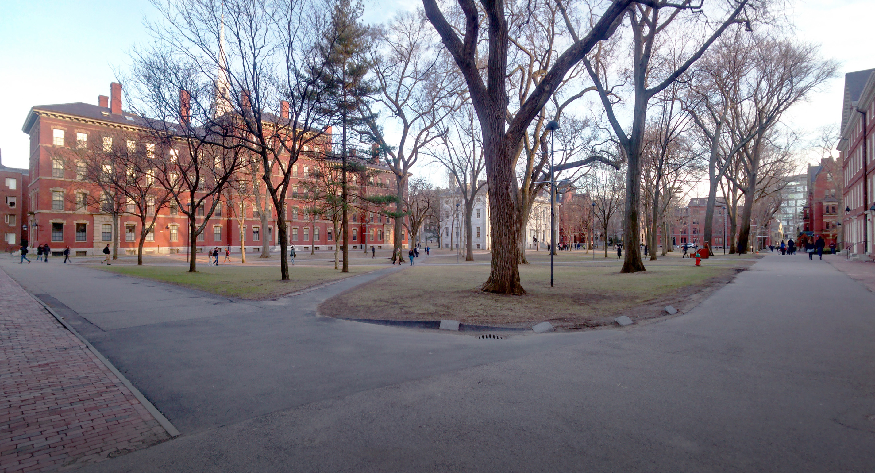 哈佛大学Harvard Yard校园实景